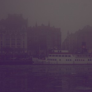 Bird City 006