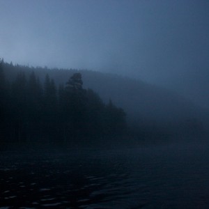 The Forrest 001