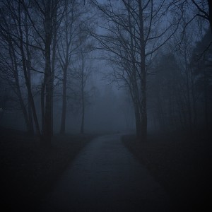 The Forrest 004
