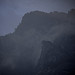 _MG_4288